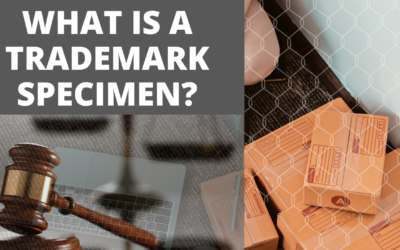 Protect Your Brand with the Right Trademark Specimen