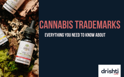 Cannabis Trademarks – Everything You Need to Know